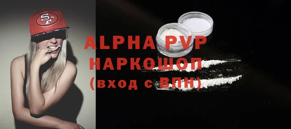 PSILOCYBIN Рославль
