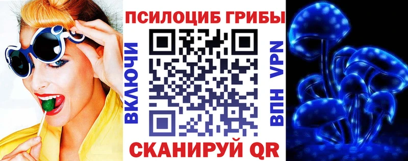 omg tor  Крымск  Галлюциногенные грибы мухоморы 